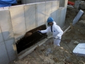 Foundation Waterproofing